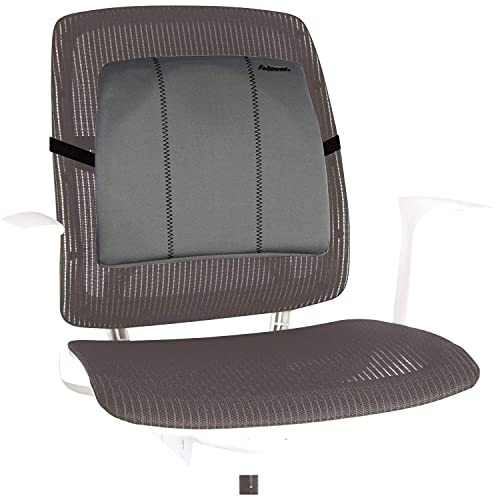 Fellowes 9190901 Smart Suites Slimline Rückenstütze, Graphit