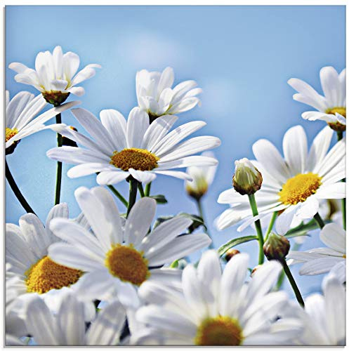 ARTland Wanddeko Glasbilder Wandbild Glas Bild einteilig Quadratisch Natur Blumen Blüten Gänseblümchen Margeriten Landhaus T2YI