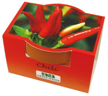 Bull & Bear Mini Pflanzset Chili Samen 10er Set, 10 Tontöpfchen mit Chilisamen, Pflanzsubstrat und Pflegeanleitung