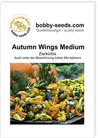 Autumn Wing M Zierkürbis von Bobby-Seeds Portion