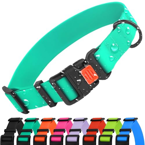 CollarDirect Wasserdichtes Hundehalsband Verstellbar – Silikon & Kunststoff, Geruchsresistent, Leicht zu Reinigen, Sicherheitsverschluss – für kleine, mittlere & große Hunde (Minzgrün, XL (45-66 cm))