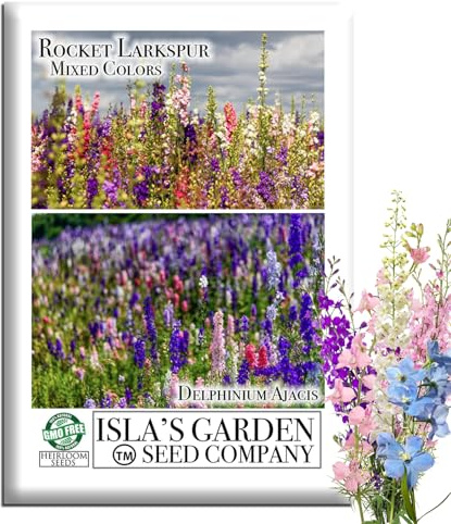 Larkspur Rocket Mix Flower Seeds (Delphinium ajacis) – 250+ Heirloom Non-GMO Seeds by Isla’s Garden Seeds, Colorful Tall Spikes for Cut Flowers, Cool-Season Annual Blend, Cottage Garden Favorite