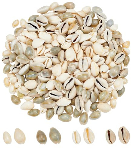 WADORN 260Pcs Natural Cowrie Shell Beads No Hole, 6 Sizes Smooth Sea Shell Beach Loose Spacer Shell Beads Undyed Beach Seashells for Beach Ocean Summer Bracelet Anklet Jewelry Making