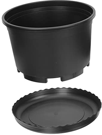 Abaodam Maceta De Grosella Macetas De Plástico para Jardín para Plantar Flores para Bonsáis Exterior para Jardín
