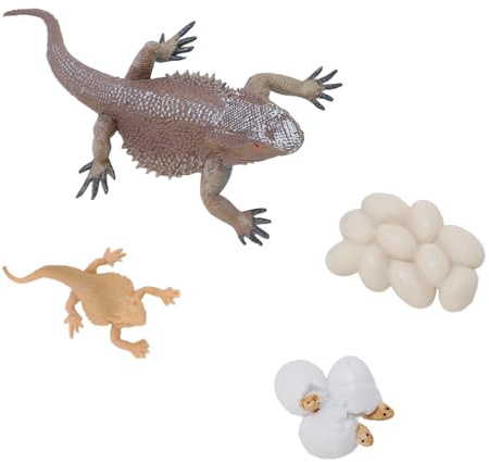 Vvikizy Eidechsen-Wachstumszyklus, Lebensechtes Tierfiguren-Spielzeugset für Pädagogische Inspiration, Sicheres PVC-Material, 4 X Spielzeug