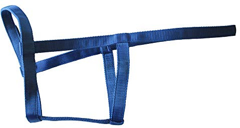 Rhinegold (Metallfrei Feldsicheres Halfter