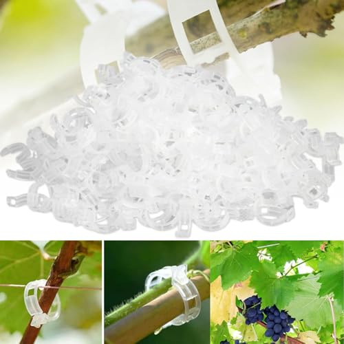 300 Pcs Pflanzenclips Kletterhilfe Pflanzen, Pflanzenklammern Pflanzenclips für Kletterpflanzen, Kunststoff Tomatenklammern für Kletterpflanzen,Klammern für Gemüse Tomate Pflanzen Befestigun (300, A#)