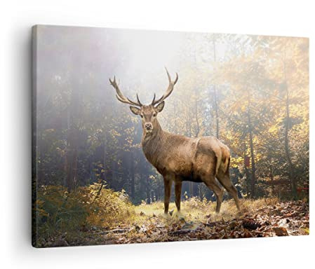 ARTTOR Bilder auf Leinwand 70x50cm Wandbild Wald Natur - 4452 | Licht Reh Klein Wanddekoration Wohnzimmer Schlafzimmer Küche Wanddeko Wand Kunstdruck Wandkunst Wall Decor ARTTOR