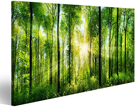 Bild auf Leinwand Panorama eines malerischen Waldes von frischen und grünen Laubbäumen mit der Sonne, die ihre Lichtstrahlen durch das Laub wirft Bilder Drucke Kunst Poster Wandbild