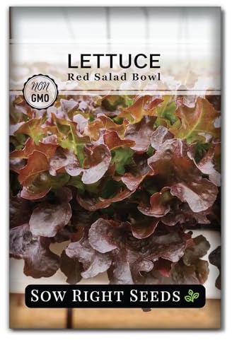 Sow Right Seeds - Red Salad Bowl Lettuce Seeds for Planting - Non-GMO Heirloom Packet with Instructions to Plant a Home Vegetable Garden - Outdoors or Hydroponics Indoors - Frilly and Tasty (1)