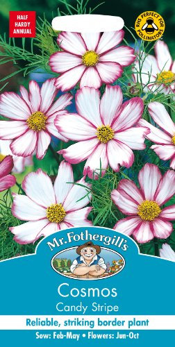 Mr Fothergill?s Seeds Ltd 15246 Mr Fothergill's Seeds-Cosmos Candy Stripe, Pink