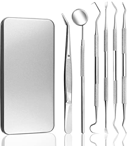 Plaque Remover for Teeth Portable Dental Tools Stainless Steel Dental Picks for Teeth Cleaning Oral Care for Adults Kids and Pets Tartar Remover for Teeth with Case for Daily Use