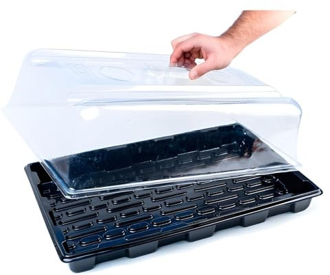 Weedness Serre de culture 39 x 59 x 21 cm – Culture de tomates en intérieur et en extérieur – Mini pièce – Boutures de plantes pour balcon, semis, intérieur, jardin