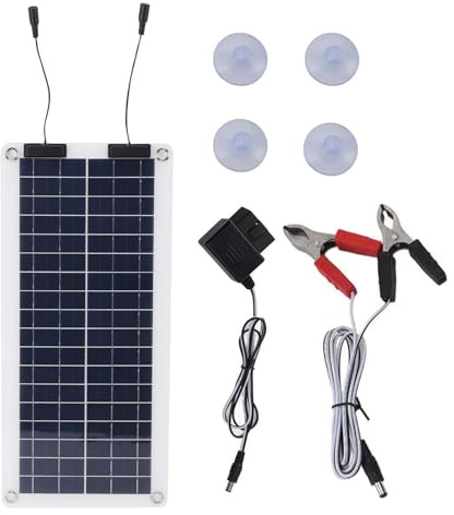 Mainteneur de Chargeur de Batterie de Voiture Solaire | Chargeur Solaire étanche 100W, mainteneur de Puissance de Panneau Solaire à Double Sortie pour Voiture 12V-24V, Marine, Moto, Camping-Car