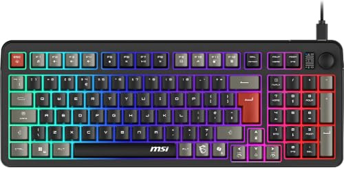MSI