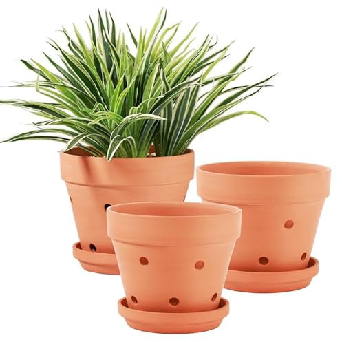 Yishang Lot de 2 grands pots à orchidée en terre cuite de 20,3 cm avec trous de drainage et soucoupes pour rempotage, pour intérieur et extérieur, favorise la circulation de l'air