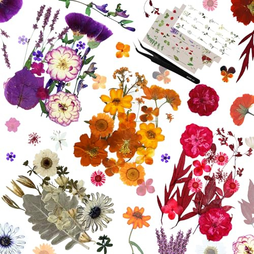 Huimai 143 Stück Trockenpressen-Blumen-Set, Natürliche Getrocknete Blumen für Epoxidharz Deko Zubehör,Trockenblumen Basteln,DIY Kerzen,Seife,Anhänger,Lesezeichen und Kartenherstellung