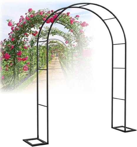 WCQSYY Arco De Jardin para Plantas Arco De Hierro Forjado para Plantas Trepadoras Arco De Rosales para Plantas Trepadoras,Blanca,W2.4M*H2.2M