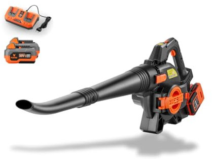 FUXTEC Soffiatore/Aspirafoglie a Batteria 40V 2-in-1 FX-E2LBSSET, Set Completo con 2 Batterie 2Ah e Doppio Caricatore, Potenza 685 m³/h, Impugnatura Ergonomica, Regolatore di Velocità