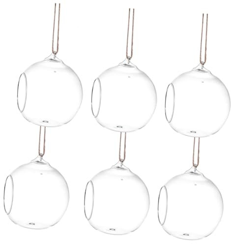 Toyvian 6 Stück Glasvase Pflanzen drinnen Terrarienglas runden Gartendekor Hängepflanze Anlage Mini Terrarienhalter hängend Hängevase hängende Vase Wohnkultur hängendes Terrarium Hanfseil