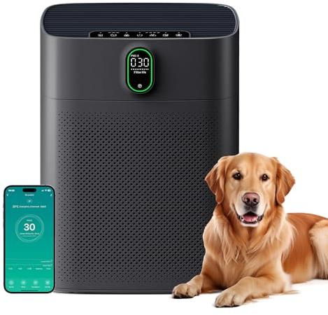 MERONTE Luftreiniger für Allergiker, Air Purifier für Raucherzimmer, HEPA Filter Gegen Staub Pollen, CADR 300 m³/h für 100 m², 24 dB, Timer, Luftqualitäts-Feedback & Automodus, Schwarz, 1 Pack+3 Modi