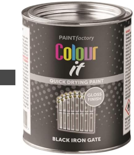 Colour It Gloss Paint 300ml | Heat Resistant Radiator & Metal Paint | Quick Drying Hard Wearing Brush On Enamel | Durable Interior & Exterior Finish for Iron Gates and Furniture (Black Iron Gate 3069)