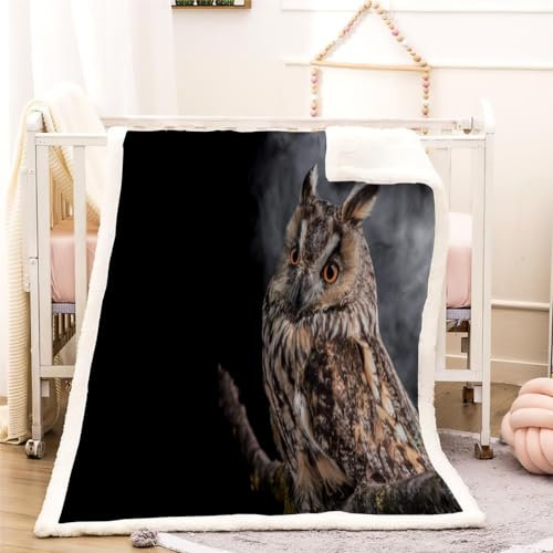 Eule Kinderdecke Wohndecke Wilde Tiere Flanell Fleece Kuscheldecke Flauschig 100x130cm Weiche Warme Sherpa Decke Gemütlich Leicht Sofadecke für Mädchen Jungen Couch Bett Decke