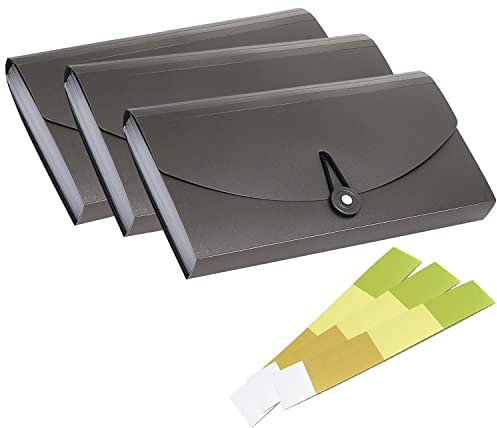 3 Stück 13 Taschen Scheck-Rechnungsordner, erweiterbarer Coupon-Währungs-Organizer mit Etikett, kleiner Akkordeon-Ordner, Karten-Ticket-Halter, Kunststoff-Business-Dokumenten-Organizer (Dunkelgrau)