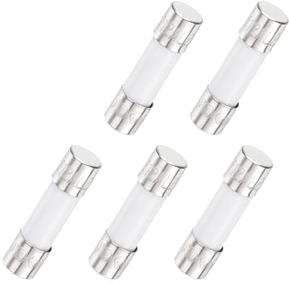 QUARKZMAN 5Pcs Fusibile Ritardo Temporale Ceramico Tubolare 5mm x 20mm 250V 12A Fusibile Lento Per Riparazione Circuiti Stampati, Apparecchiature Illuminazione, Strumentazione.