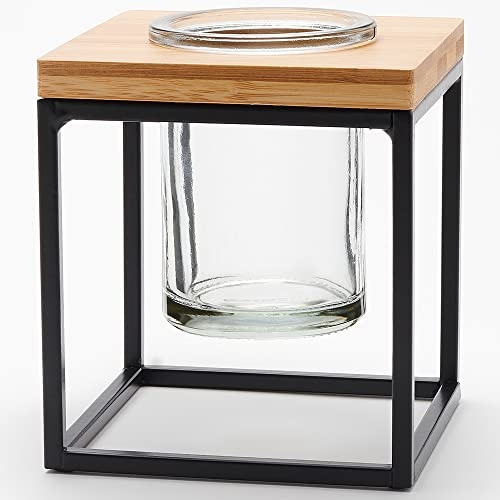 Couronne Company, Clear, Classic Pablo Cube, M260-201-00, 5 Inch Tall, 1 Piece, 176ml
