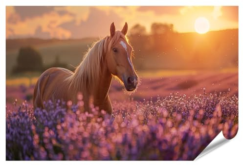 islandburner XXL Bild Poster Pferd Steht elegant in einem Lavendelfeld voller leuchtender Farben und Kontraste Premium Bilder Fotodruck