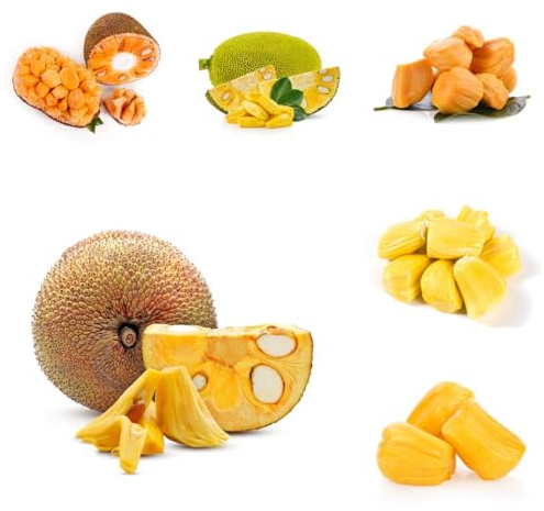 semi di jackfruit, esotiche frutteto giardino vecchie varietà fresca serre da balcone semi acquistare da 8pcs