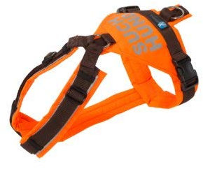 annyx - Suchhund-Geschirr - l - orange