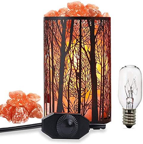 Shineled Salt Lamps, Natural Himalayan Salt Lamp, Forest Salt Lamp with Dimmer Switch, Salt Crystal Night Lights, Retro Metal Basket Decor Desk Lamp with Extra 25W Lamp Bulbs (Retro Red)