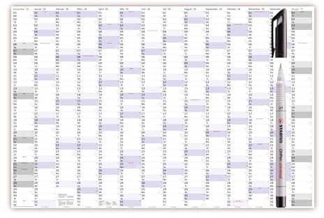 XXXL Wandkalender Special A0 2026 nass abwischbar inkl. Folienstift (Format 120 x 80cm) Jahresplaner Wandplaner gerollt mit extra großen Tageskästchen