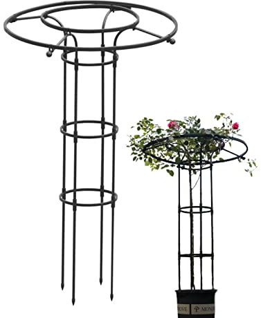 enrejado para interior - Paraguas metal para escalada | Jardín al aire libre Planta en maceta Soporte para flores, verduras, frutas, vides Hongjingda
