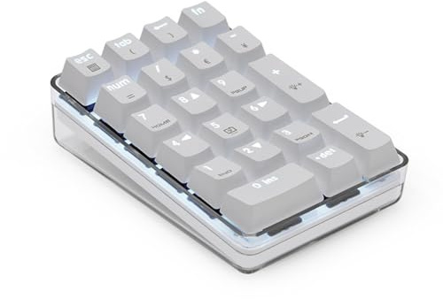 Dasbsug Pavé numérique mécanique 21 touches avec commutateurs bleus et rétroéclairage blanc pour améliorer le clavier numérique mécanique