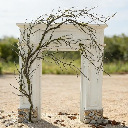 1 pcs 1,9m malléable Noir : Branches Tombantes Arbre Halloween, brindilles, Guirlande végétale, Mousse Suspendue, Faux Raisin, Vigne, forêt hantée, cheminée ext, Porche, Arche, déco Noël