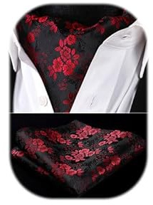 HISDERN Krawattenschal Herren Hochzeit Punkt Halstuch Taschentuch Paisley Business Ascot Krawatte und Einstecktuch Set