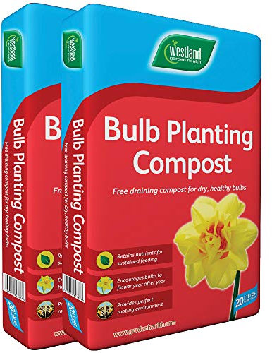 Westland Bulb Planting Compost, 20 l (Pack of 2)