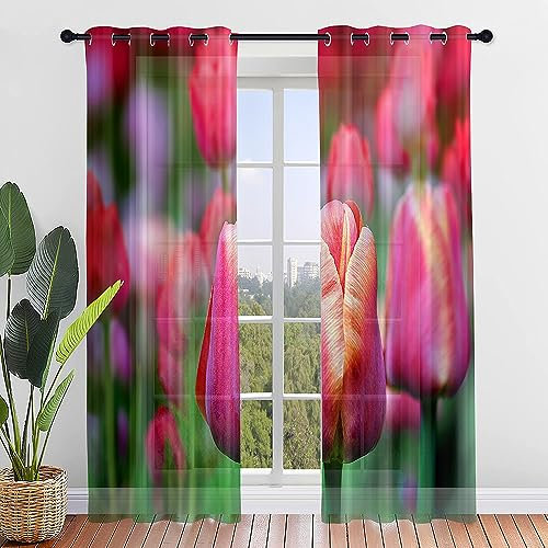 Hixingo Sheer Voile Gardinen TulpeDruck Vorhänge, 2er Set Vorhang mit Ösen, Anmut Halbtransparent Scheibengardinen Wohnzimmer Küchen (55x95cm,Lila Tulpen)