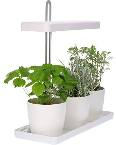 Design Kräutergarten mit höhenverstellbarem Pflanzenlicht 20W als Anzuchtschale oder Kräuterbeet