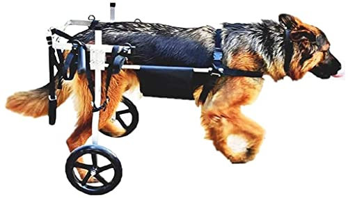 REMEK Hunderollstuhl Für Hinterbein/Hintere, Hunde Wagen Rollstuhl Füße Hund Katze Kaninchen Gehhilfe Hundegehilfe Für Rehabilitationstraining Der Hinterbeine Dog Wheelchair
