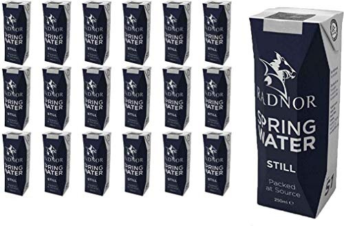 Radnor Hills Still Spring Water Tetra Water 24x250ml Multipack