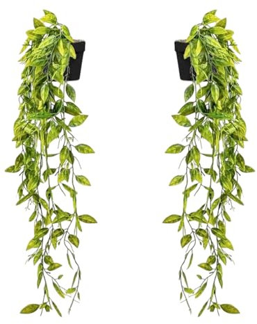 TRNZ 2 pack Fake Plants Fake Hanging Plants Artificial Plants Indoor Outdoor | Room Decor Home decor, Wall Shelf Patio Garden