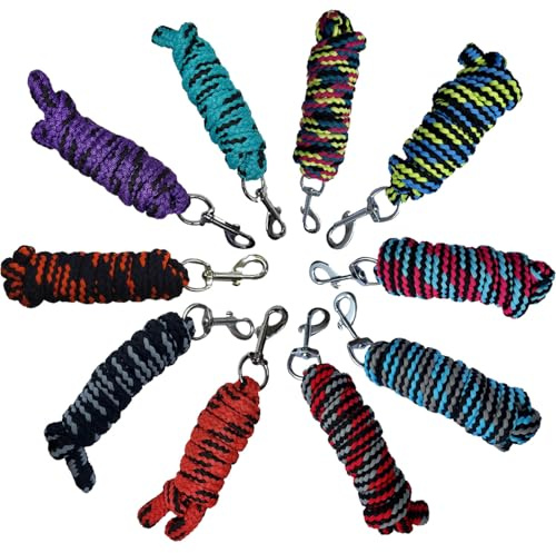 BRAMA-WEST Anbindestricke 10er-Set – 2 m Lange Führstricke mit Karabinerhaken - stabile Pferdestricke im bunten Farbmix, langlebig & pflegeleicht