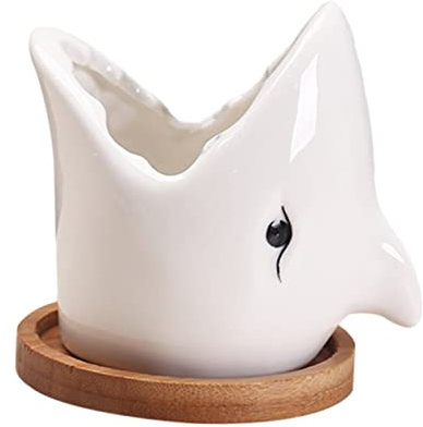 UAUWBRZ Grande Bocca Fioriera a forma di squalo, cactus, pesce, piccole piante grasse, piante grasse, animali, cactus, carino, argilla ceramica (bianco)