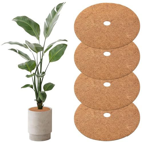 Peygre 4 stycken kokosmattor, skydd, 40 cm