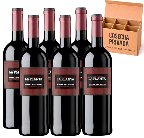 Arzuaga - Envío Gratis 24 H - Vino Tinto Ribera del Duero -Vino Regalo - Cosecha Privada (6 x Botella 75 cl, Roble - La Planta)