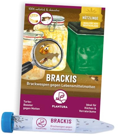 Plantura Brackwespen gegen Lebensmittelmotten, Brackis, Habrobracon hebetor, Turbo-Booster zur Mottenbekämpfung, 1 Röhrchen für 1 Raum (20 m²)
